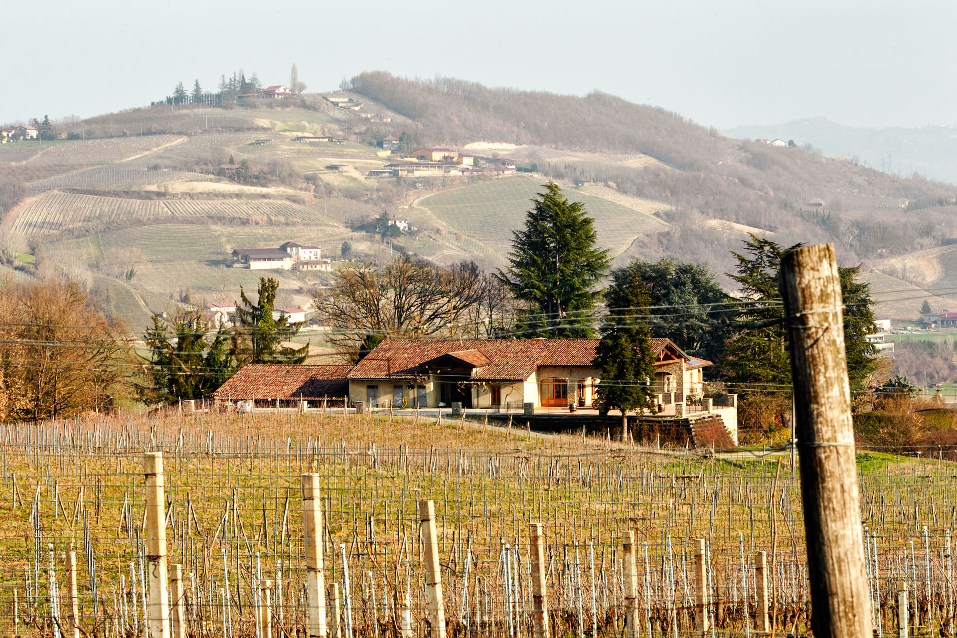 Colombo-visite-e-degustazioni-in-Piemonte